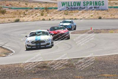 media/Oct-25-2025-West Coast Racing (Sat) [[9fdcbcd09c]]/Blue group/Turn 4/